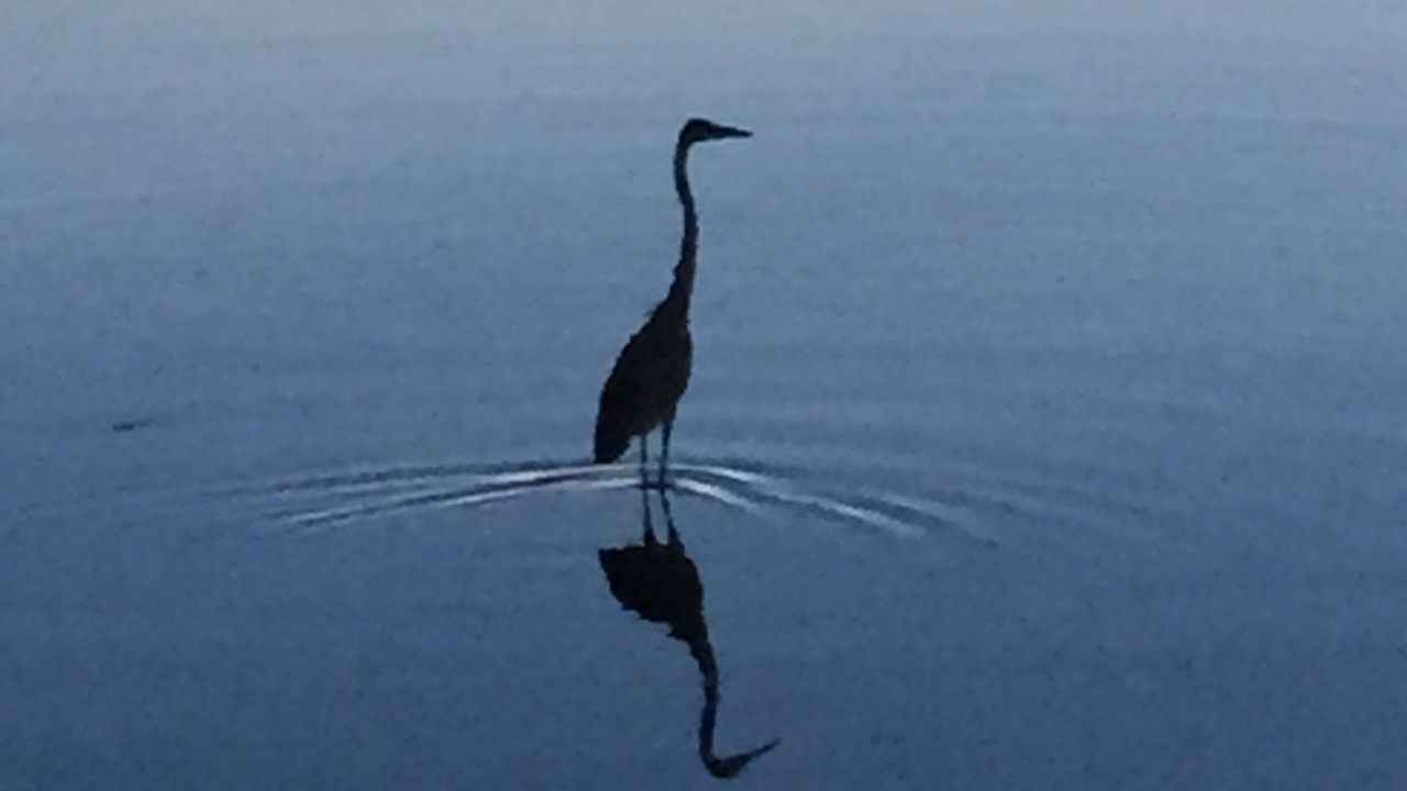 Photo of Others in Kennebunkport