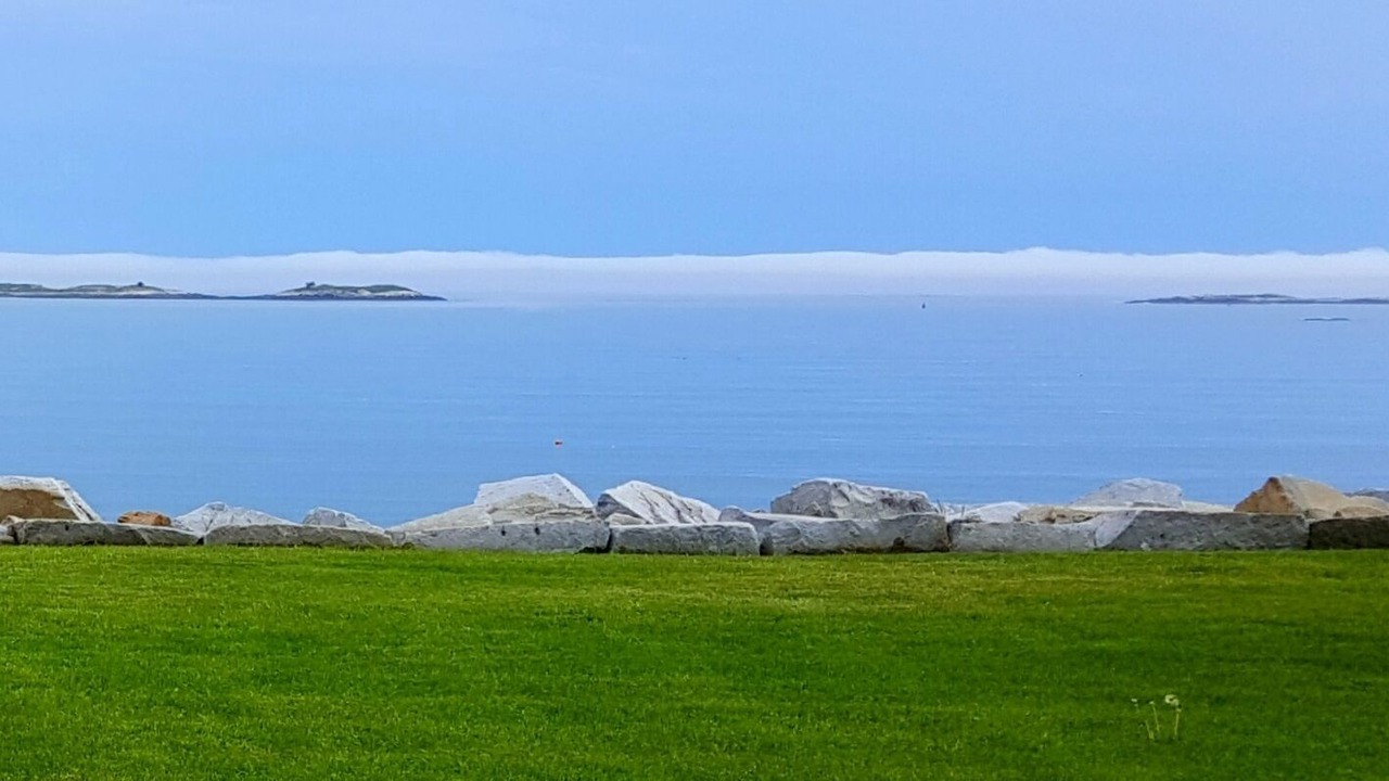 Photo of Others in Port Clyde