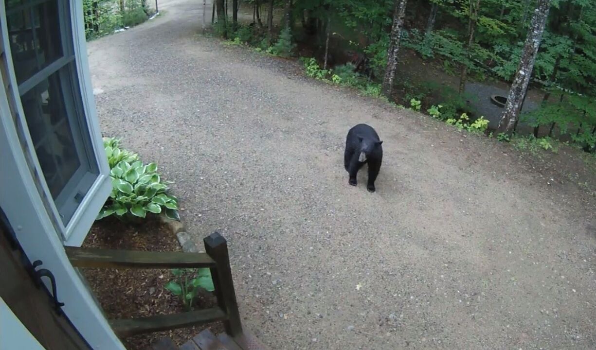 Photo of Others in Intervale