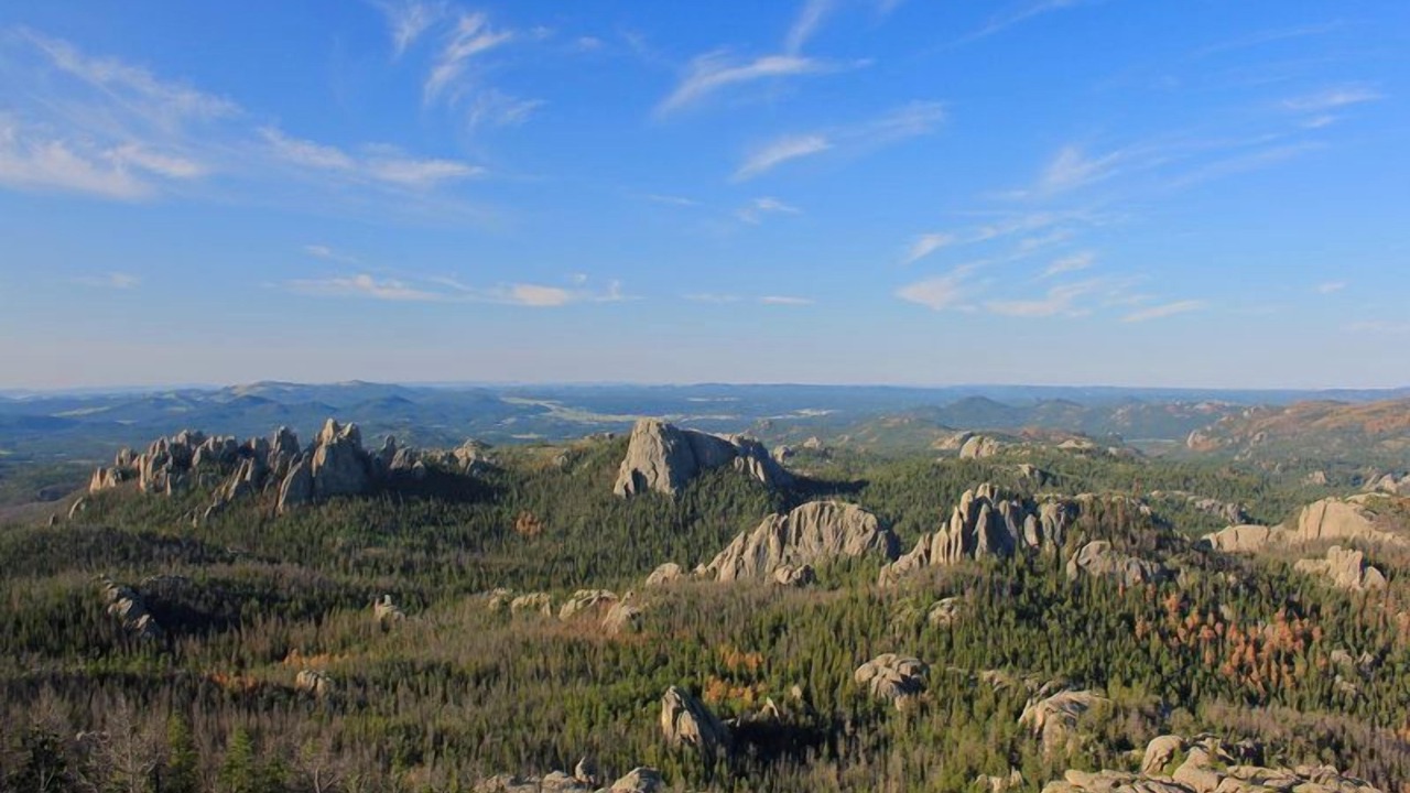 Photo of Others in Rapid City
