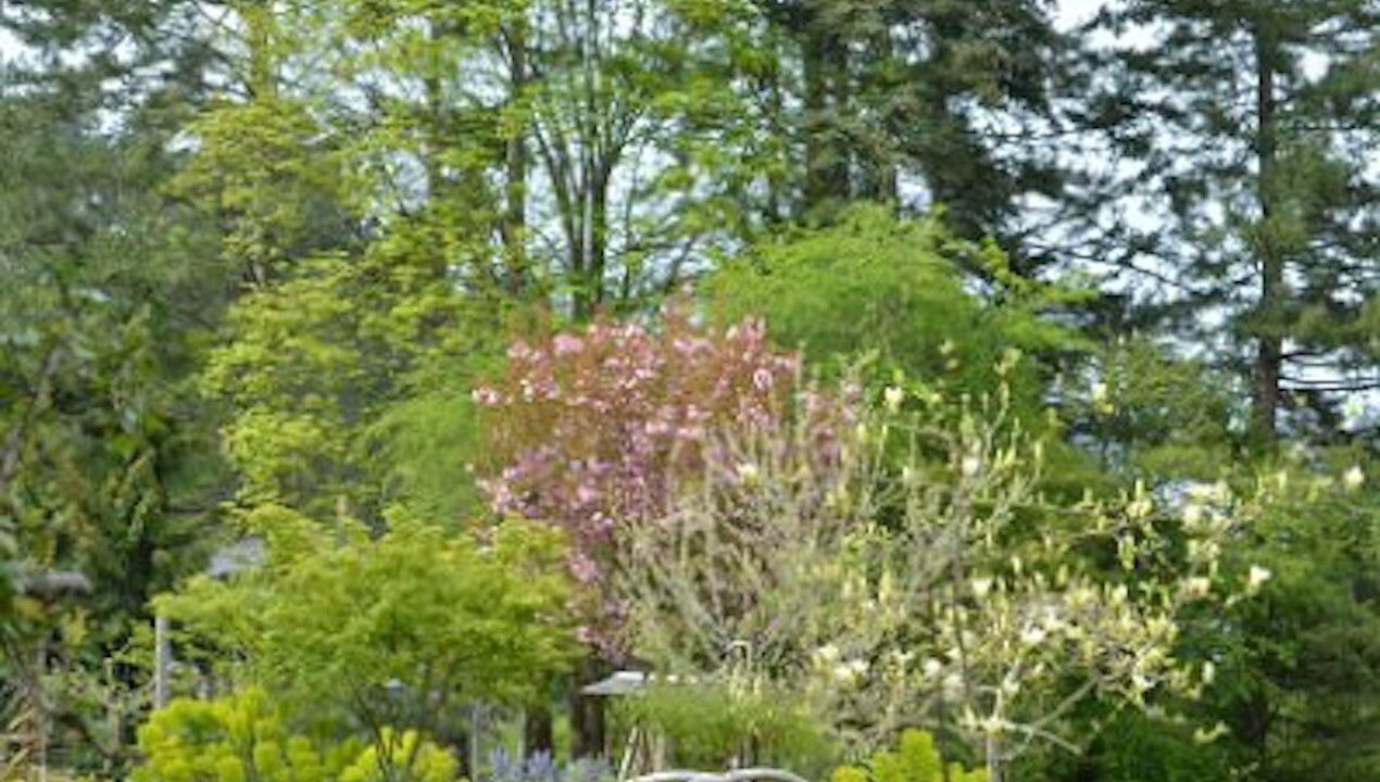 Photo of Others in Salt Spring Island