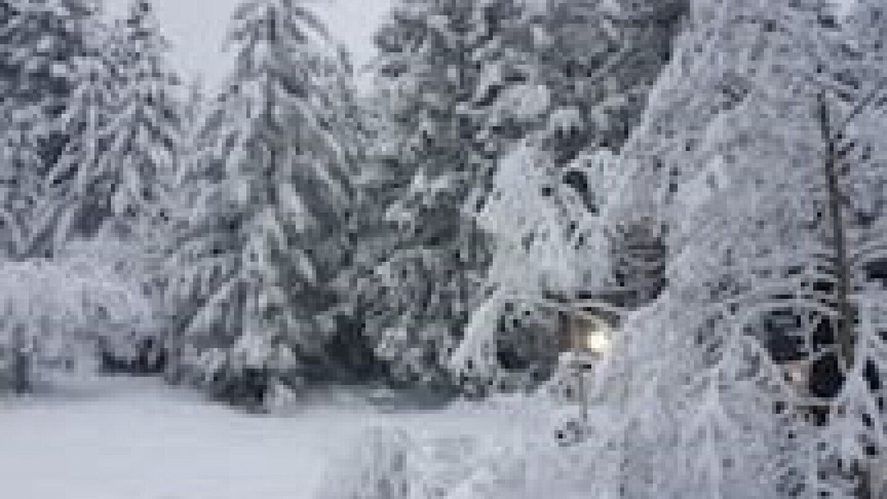 Photo of Others in Shawnigan Lake