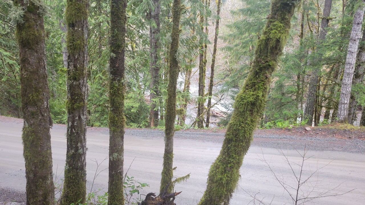 Photo of Outdoor in Shawnigan Lake