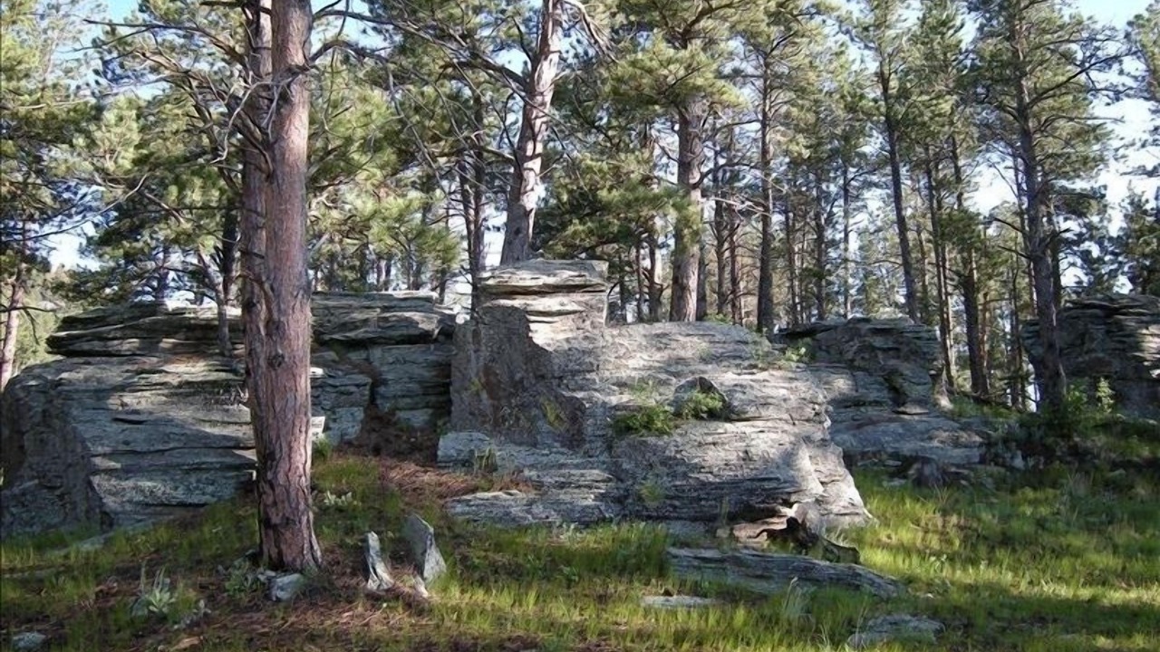 Photo of Others in Hill City