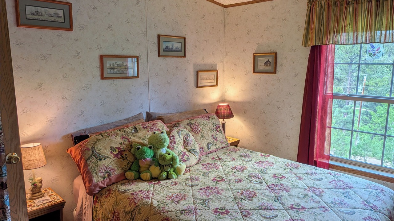 Photo of Bedroom in Custer