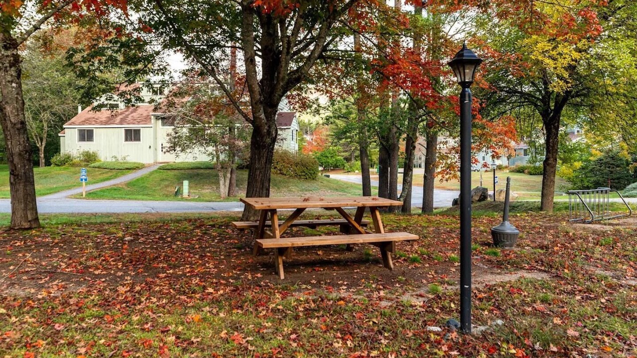 Photo of Outdoor in Bartlett