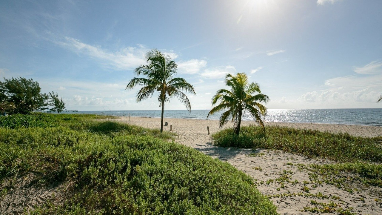 Photo of Others in Pompano Beach
