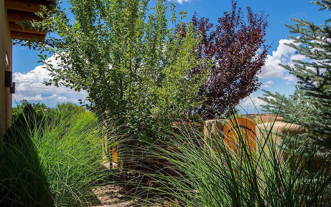 Photo of Outdoor in Tesuque