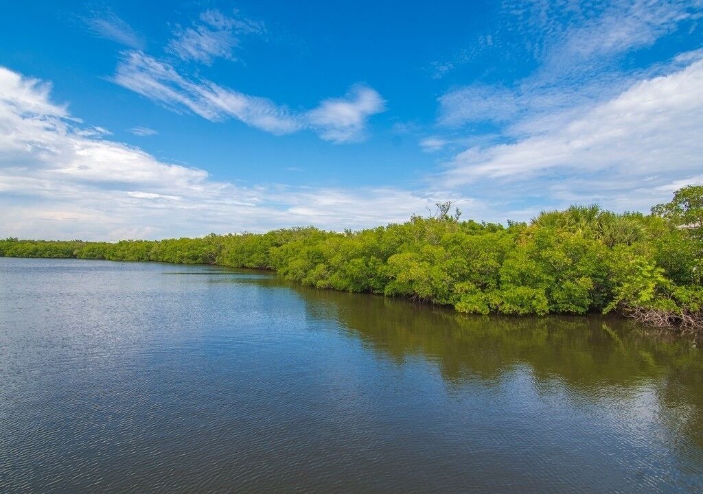 Photo of Others in Fort Pierce