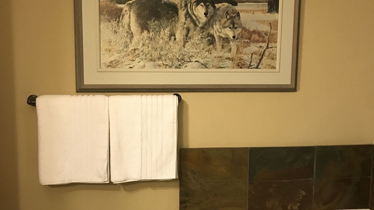 Photo of Bathroom in Town Centre