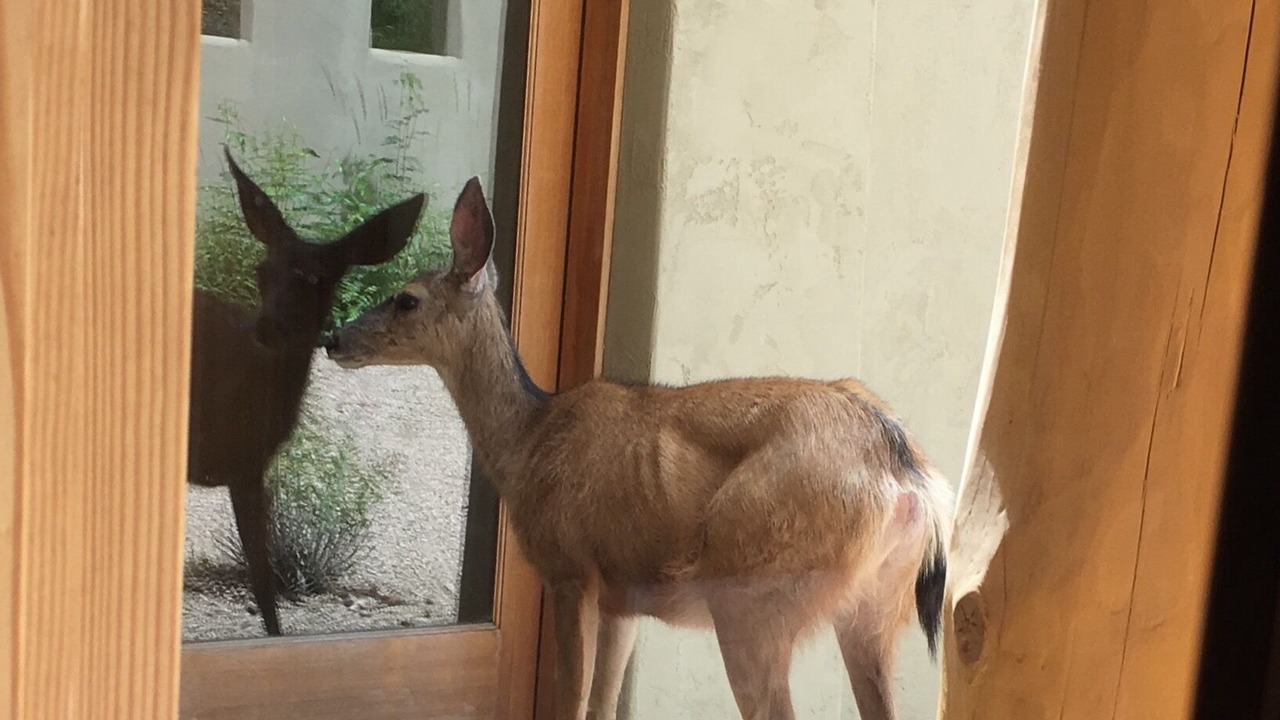 Photo of Others in Okanagan-Similkameen