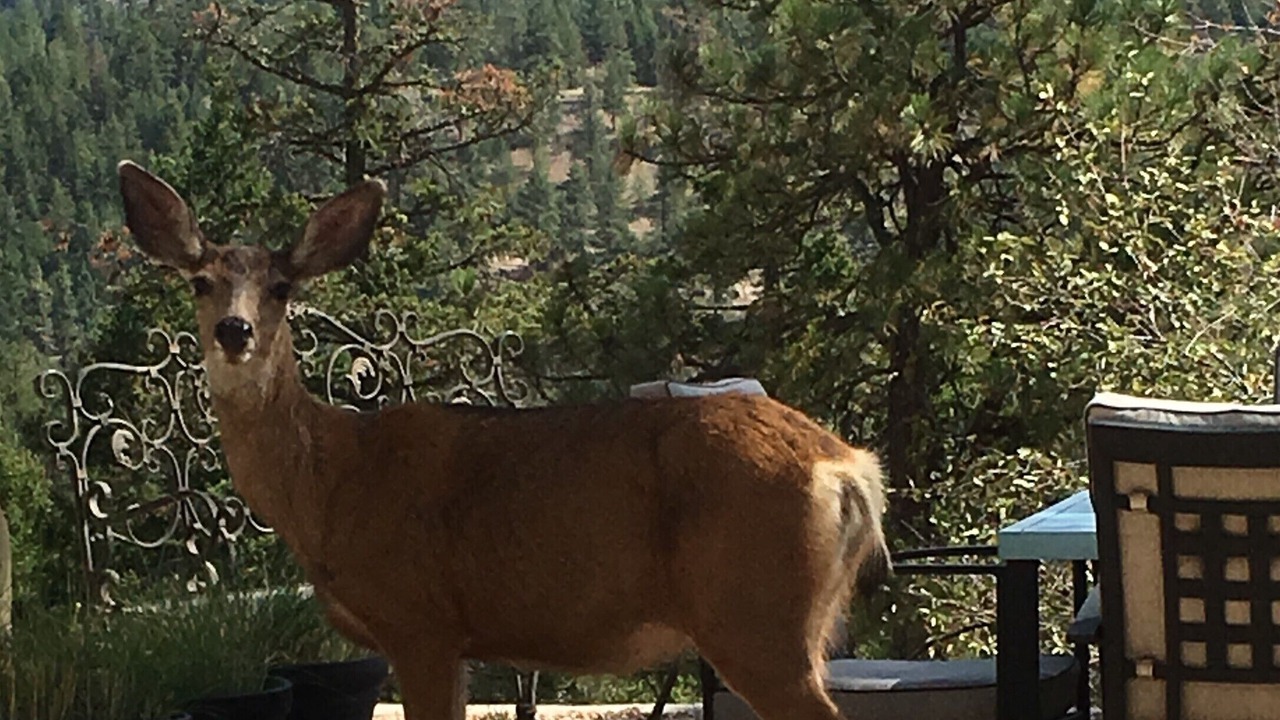 Photo of Outdoor in Okanagan-Similkameen