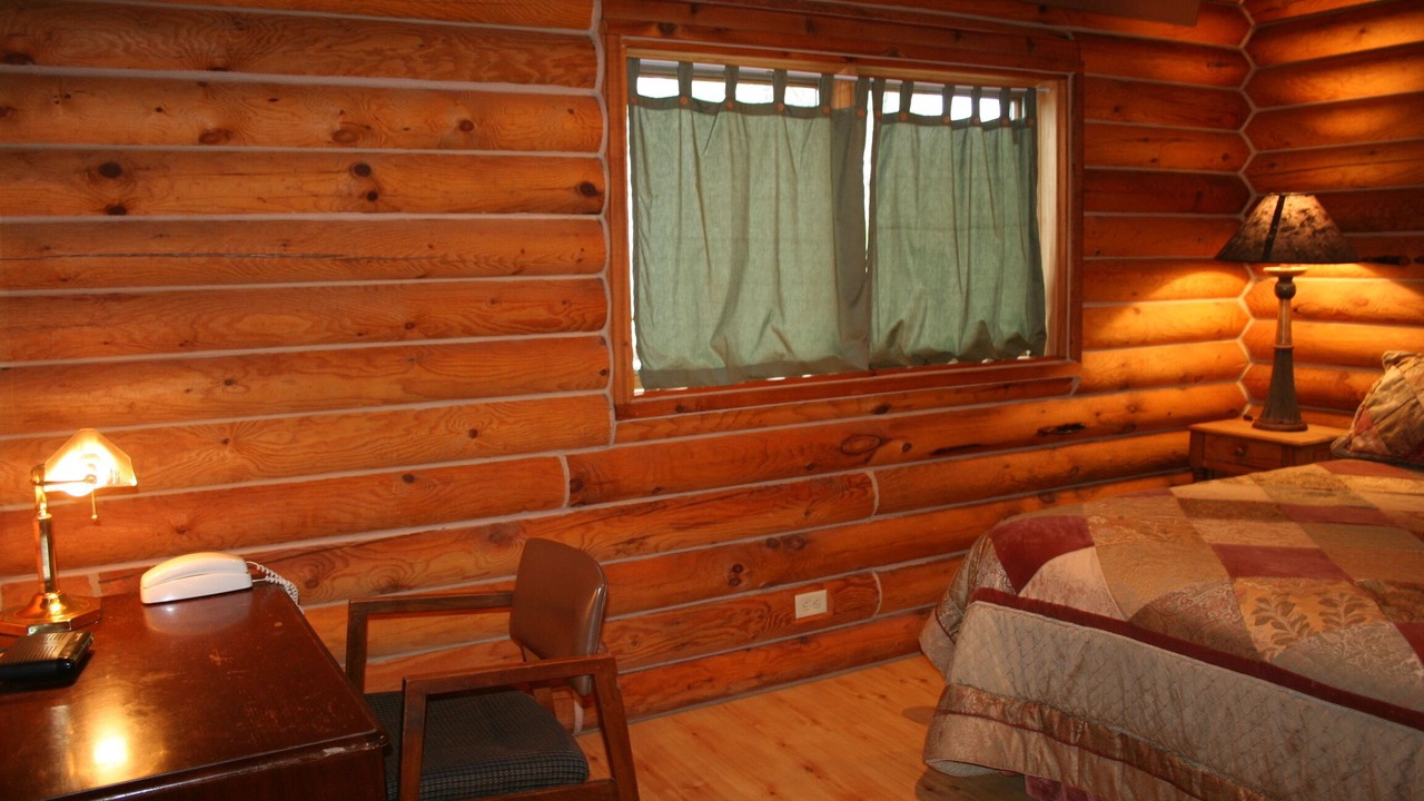 Photo of Bedroom in Nemo