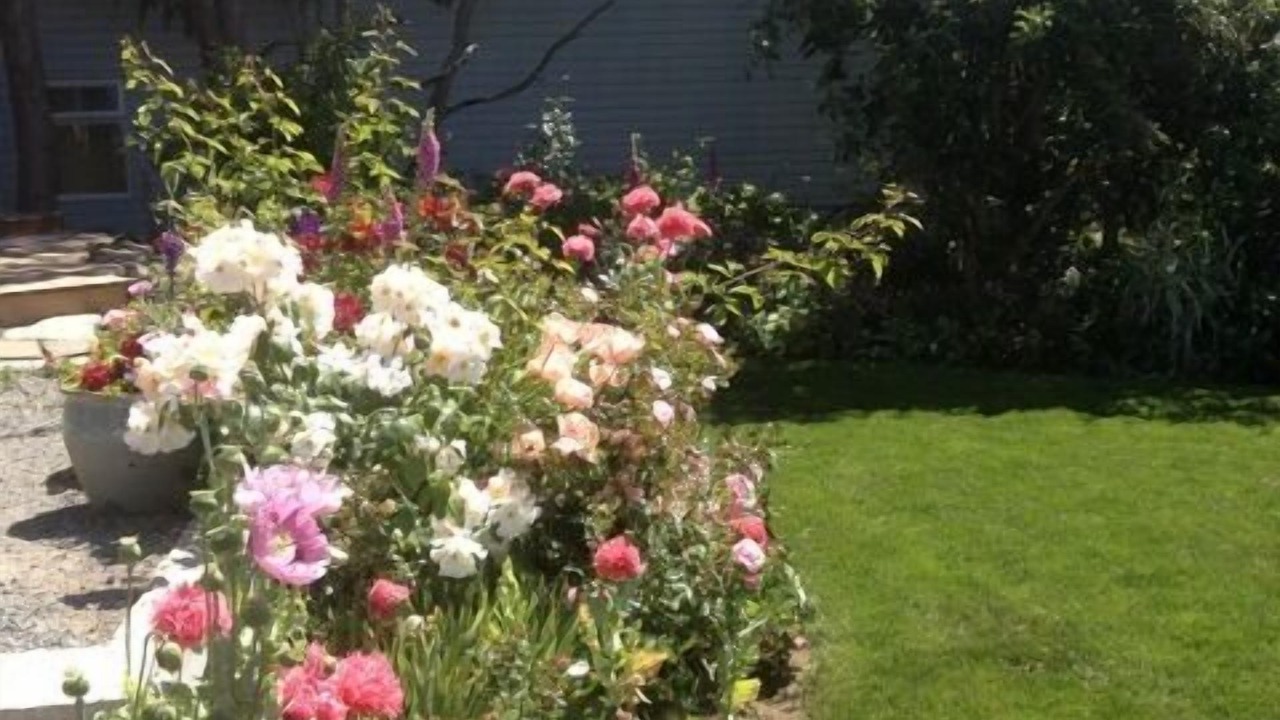 Photo of Outdoor in Saanich