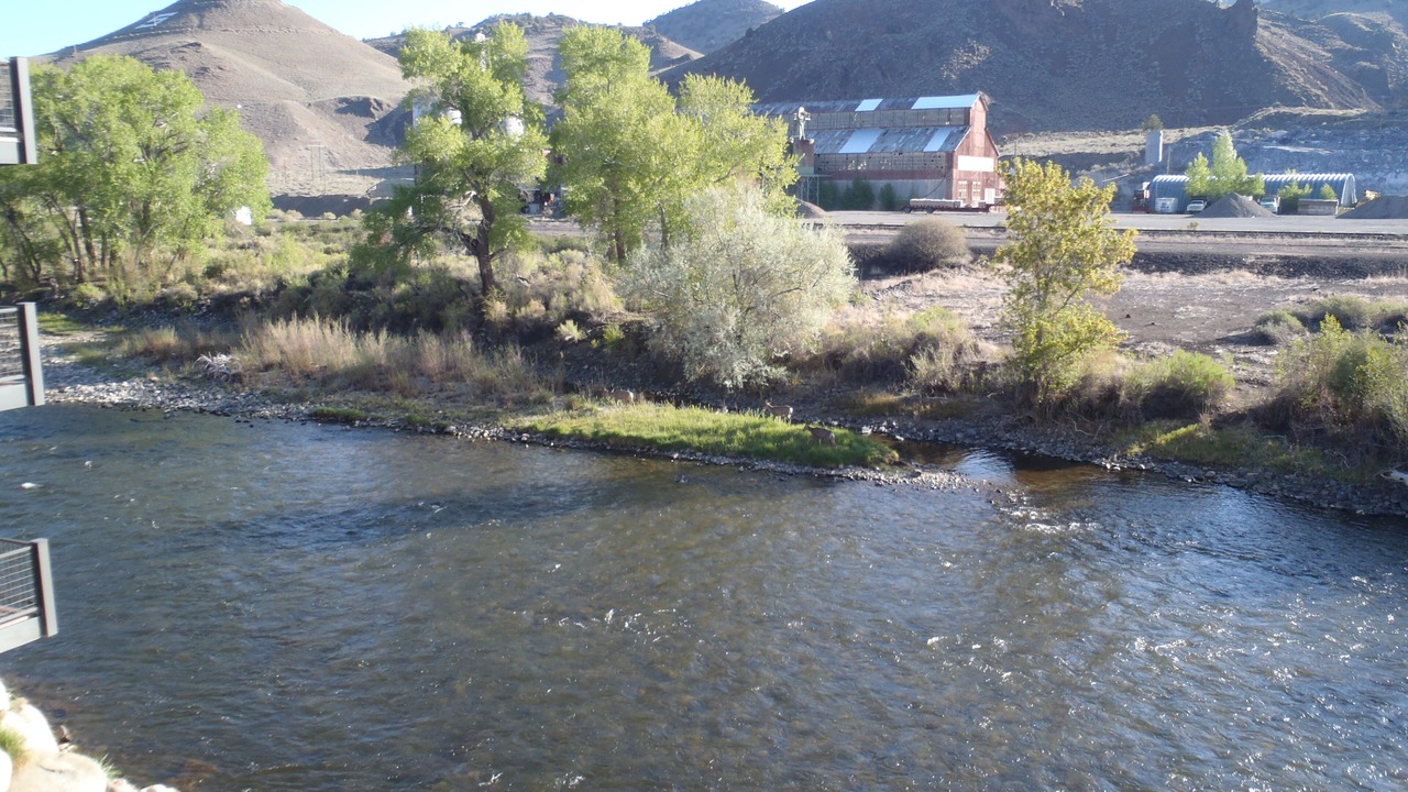 Photo of Others in Salida