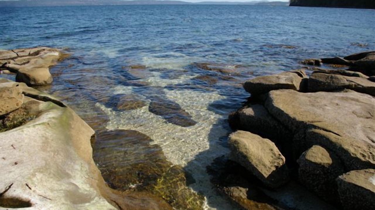 Photo of Others in Yellow Point