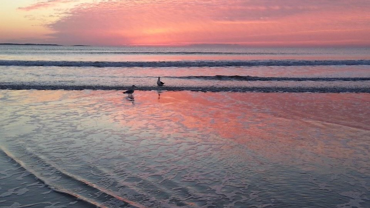 Photo of Others in Old Orchard Beach