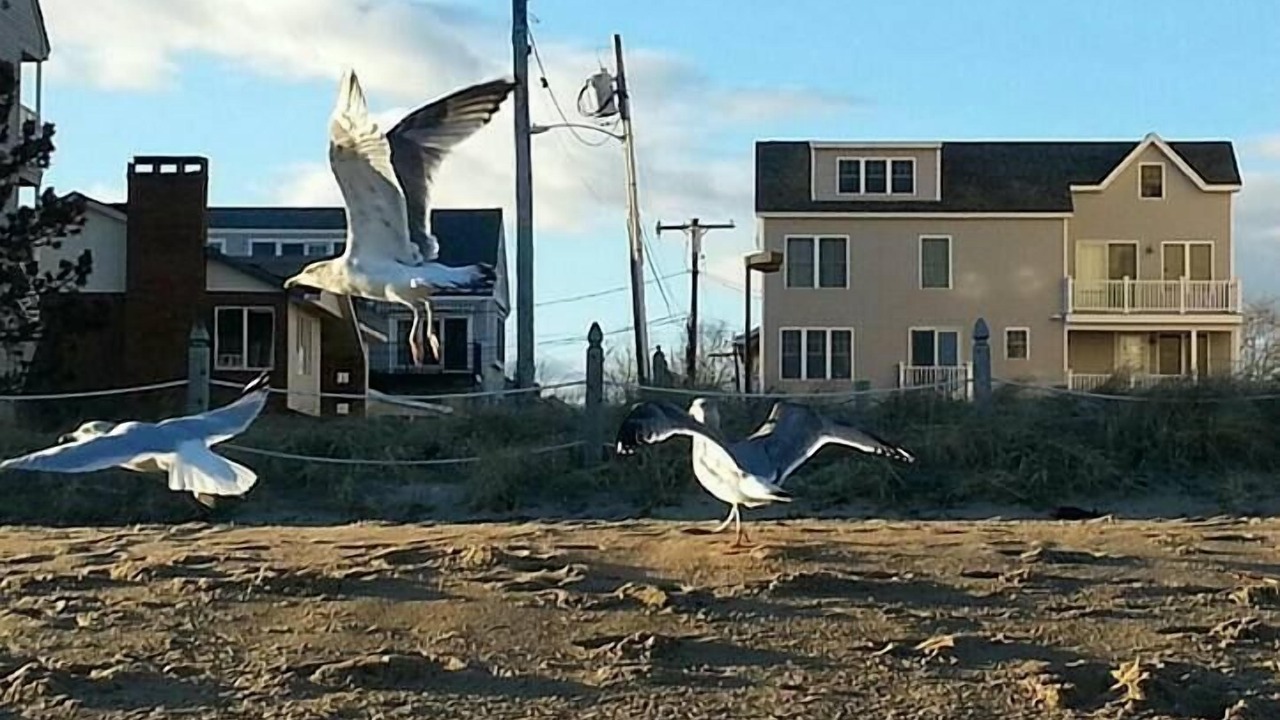 Photo of Outdoor in Old Orchard Beach