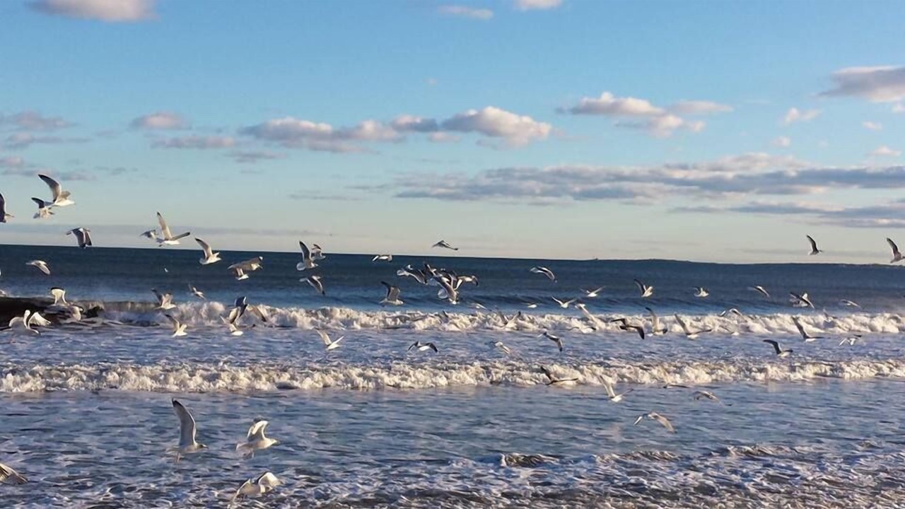 Photo of Others in Old Orchard Beach