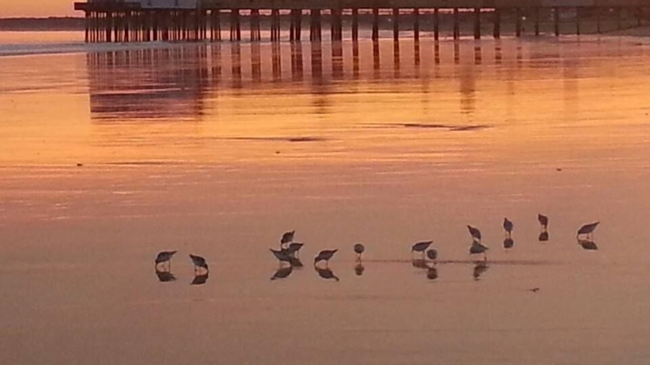 Photo of Others in Old Orchard Beach