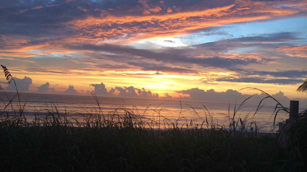 Photo of Others in Juno Beach