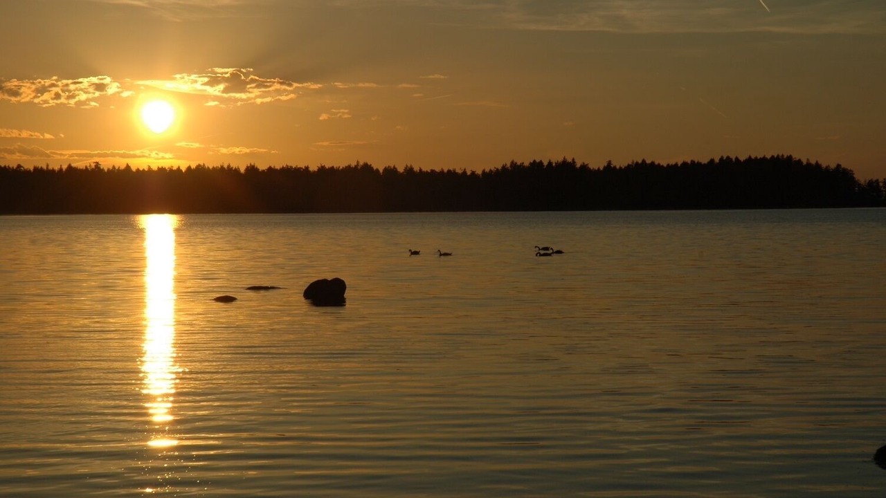 Photo of Others in Regional District of Nanaimo