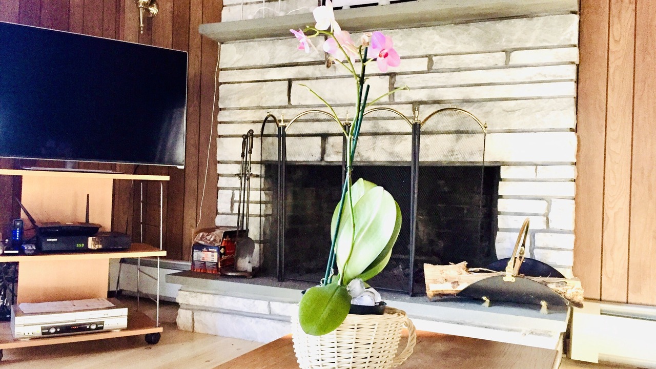 Photo of Livingroom in Jackson