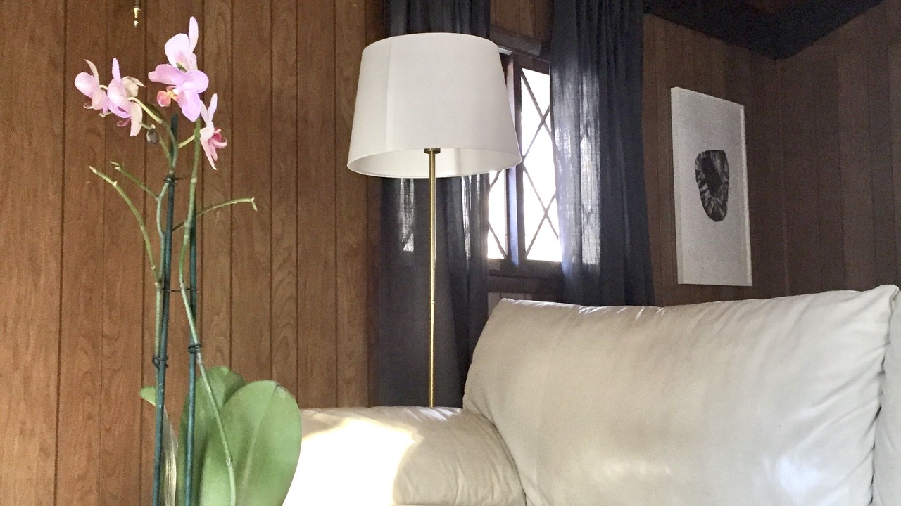 Photo of Livingroom in Jackson