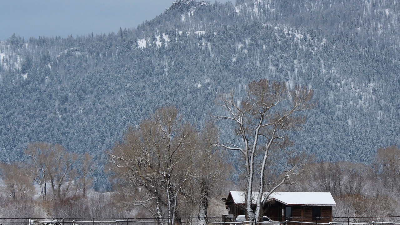 Photo of Others in Woods Landing-Jelm