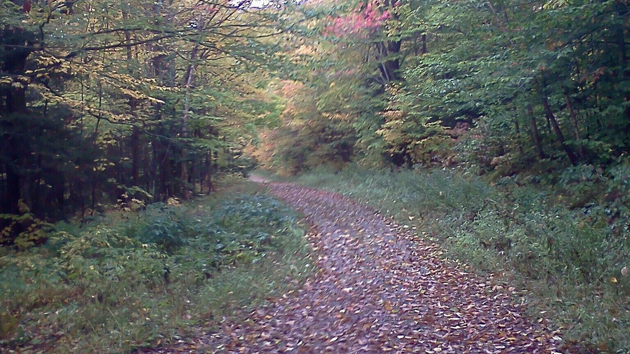 Photo of Outdoor in Bolton Valley