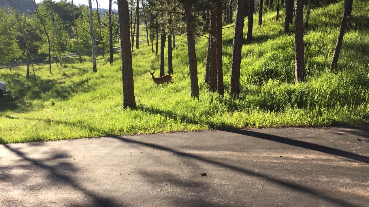 Photo of Outdoor in Weston County
