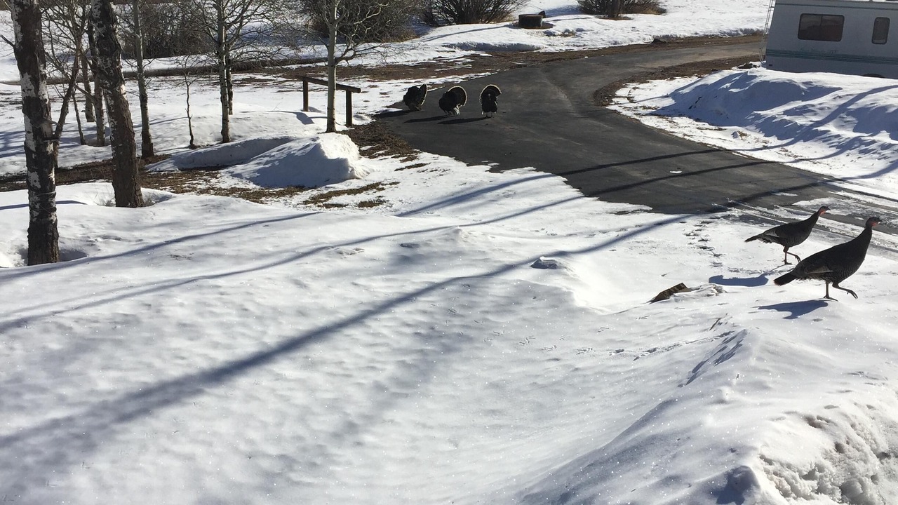 Photo of Outdoor in Weston County