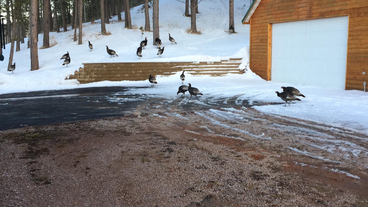 Photo of Outdoor in Weston County