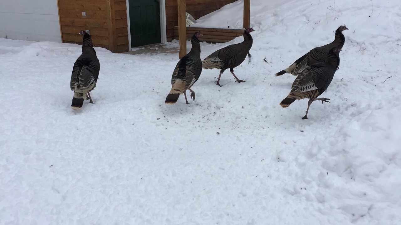 Photo of Outdoor in Weston County