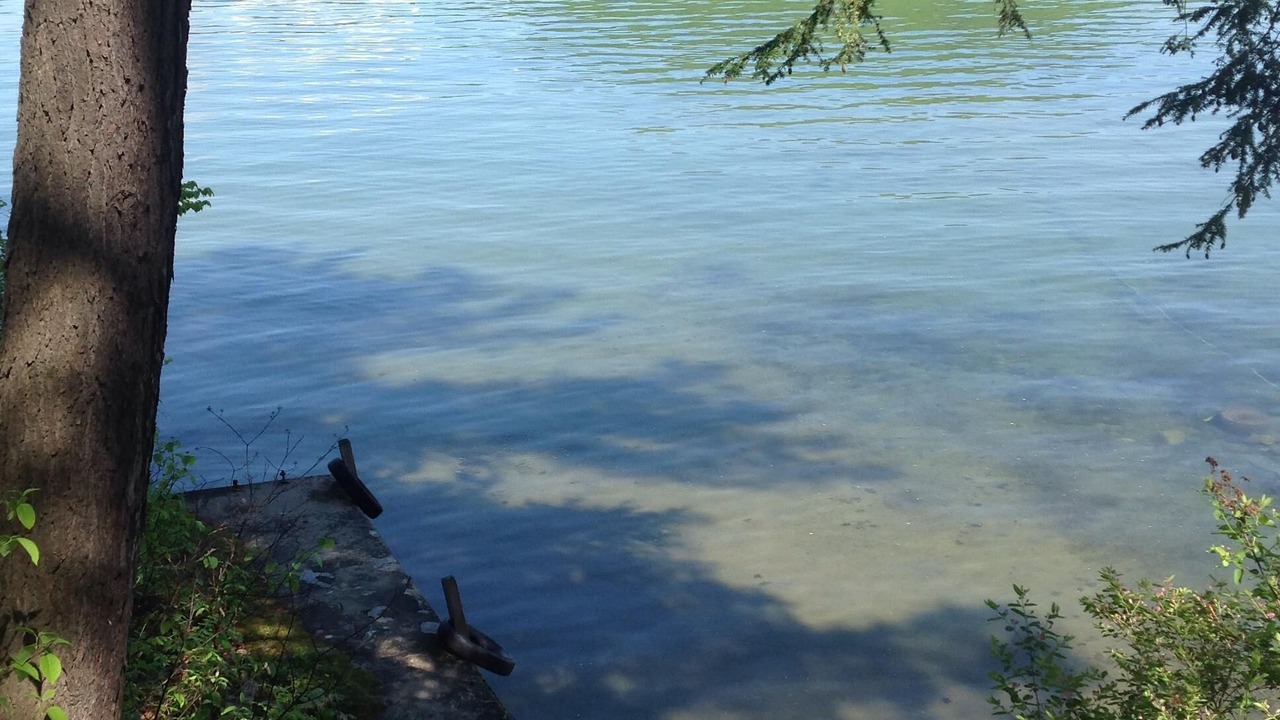 Photo of Others in Ticonderoga
