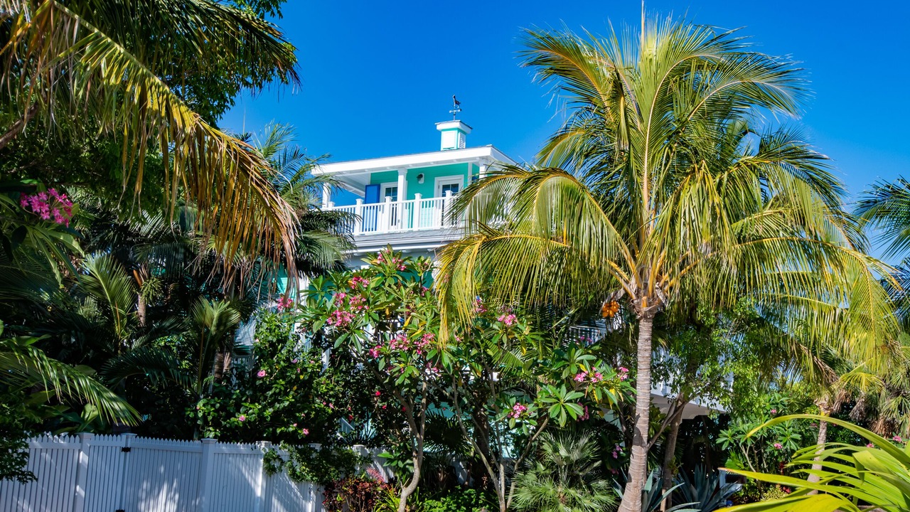 Photo of Outdoor in Juno Beach
