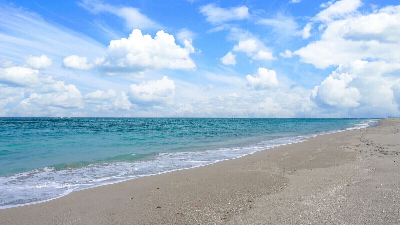 Photo of Others in Jupiter Inlet Colony