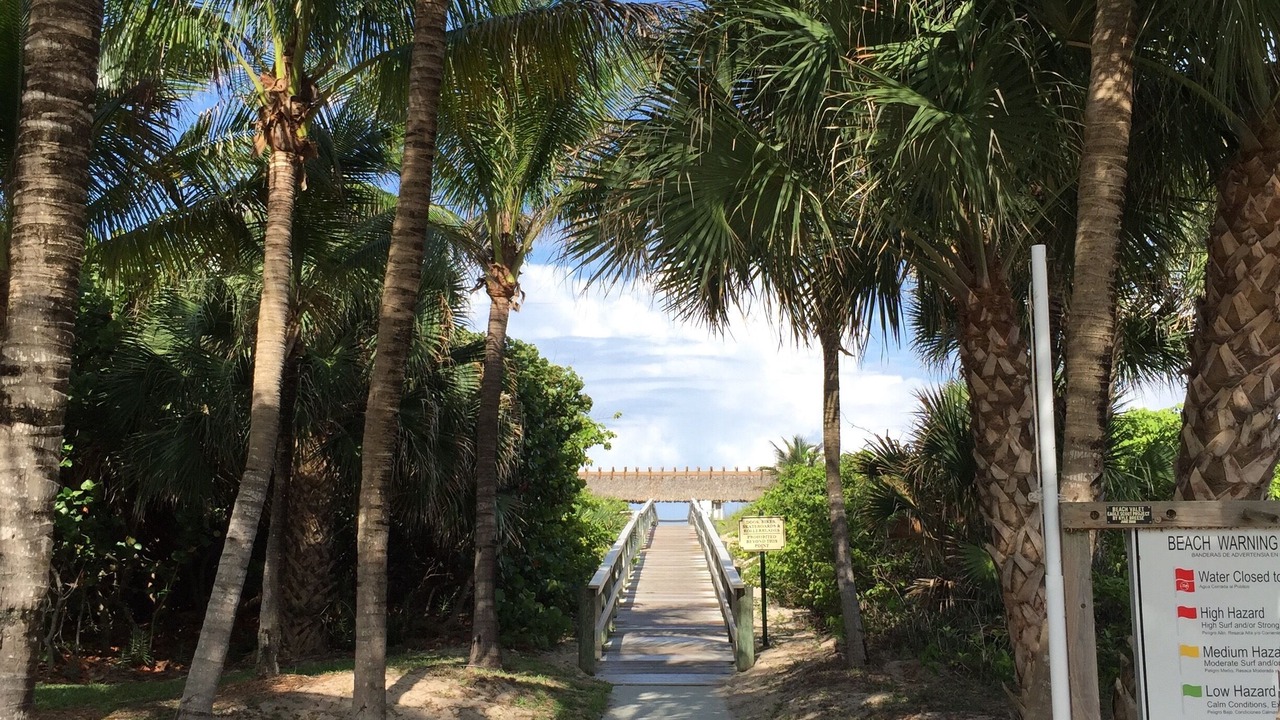 Photo of Others in Palm Beach Shores
