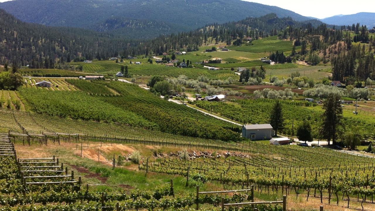 Photo of Others in Central Okanagan