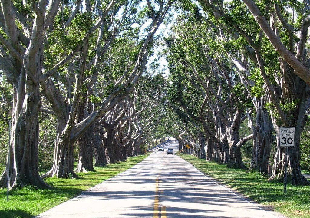 Photo of Others in Hobe Sound