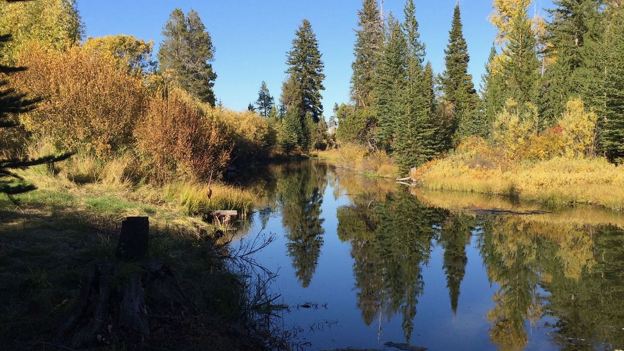 Photo of Others in Moose Wilson Road