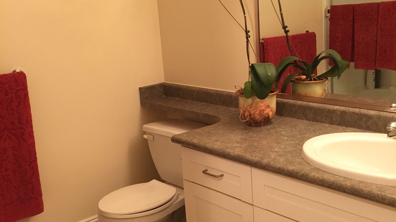 Photo of Bathroom in Dunbar