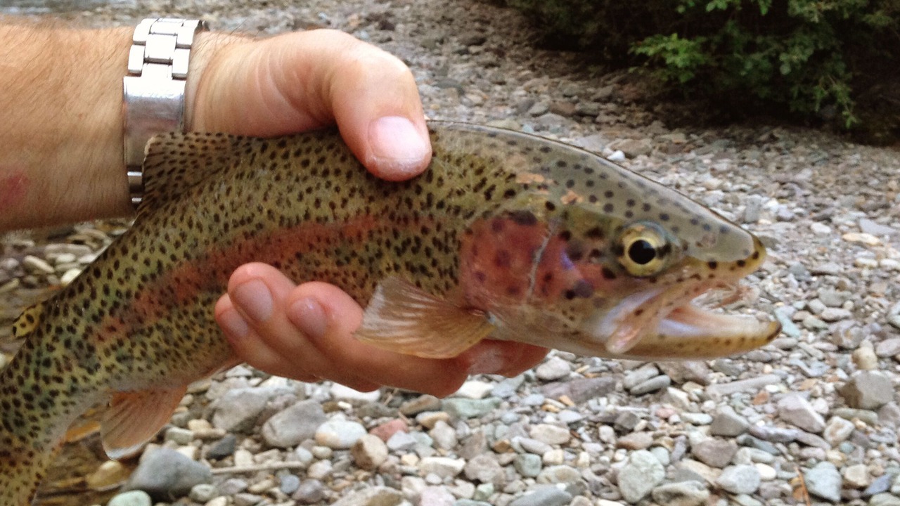 Photo of Outdoor in Lake City
