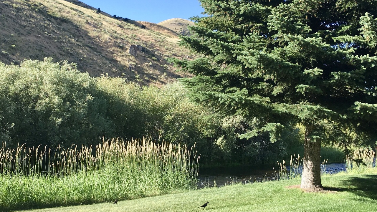 Photo of Outdoor in Jackson