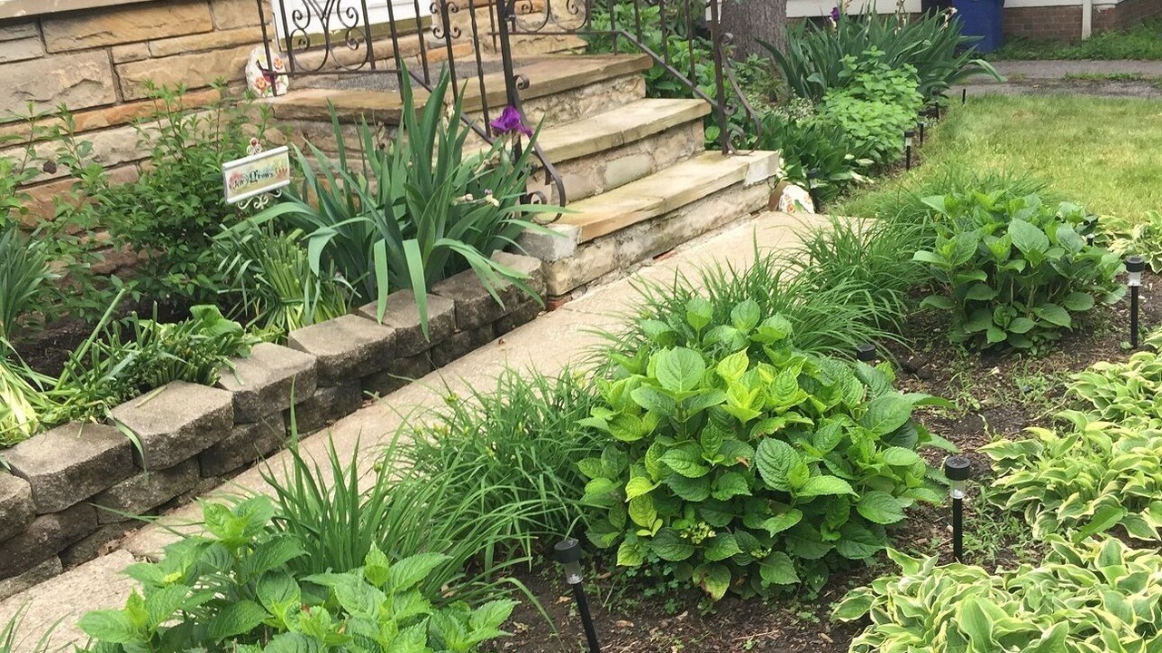 Photo of Outdoor in Cleveland Heights