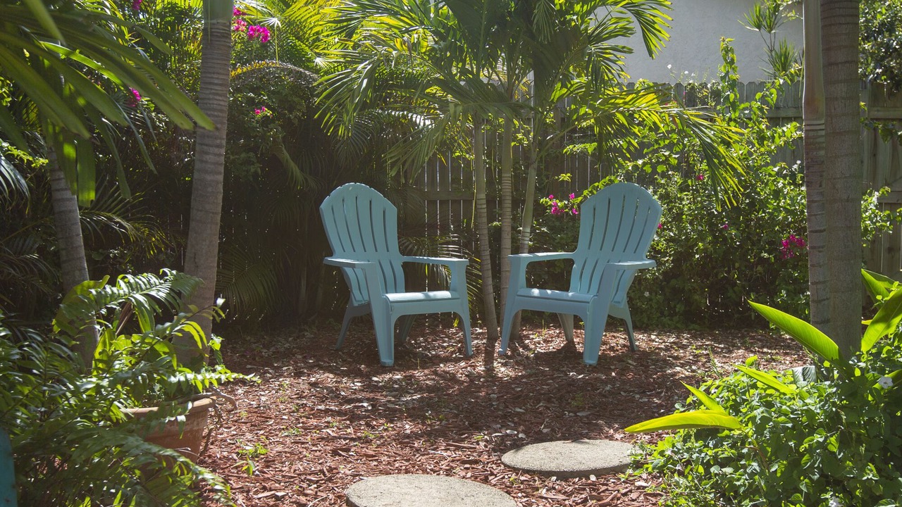 Photo of Outdoor in Mango Groves