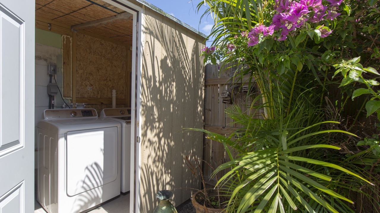Photo of Outdoor in Mango Groves