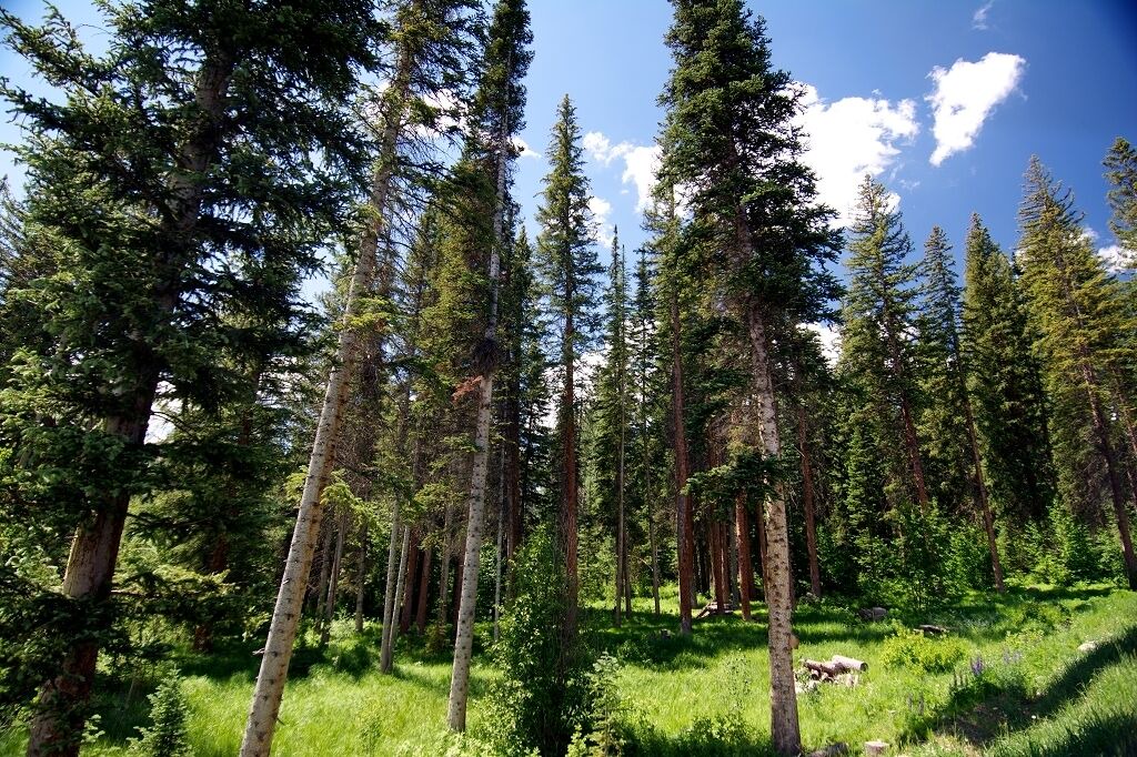 Photo of Others in Winter Park