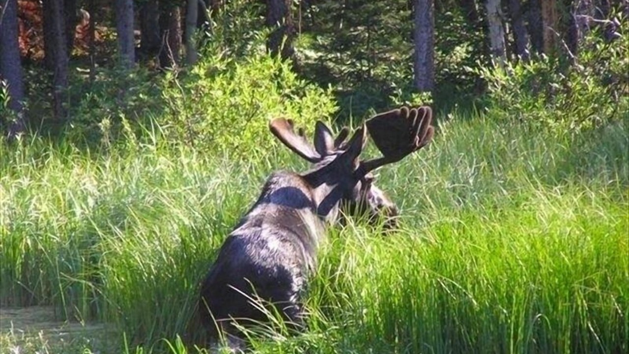 Photo of Others in Winter Park