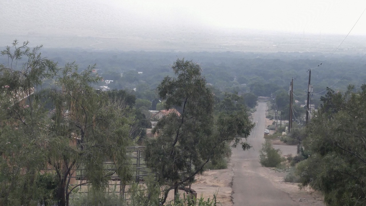 Photo of Others in Corrales